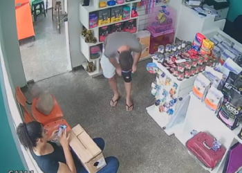 Vídeo mostra mulher trans e namorado indiciados por maus-tratos adotando gato