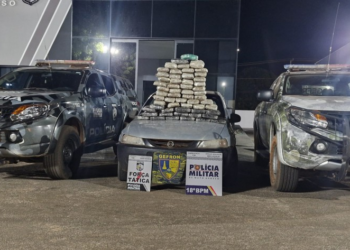 Forças de segurança apreendem 57 quilos de supermaconha e causam prejuízo de R$ 180 mil às facções criminosas