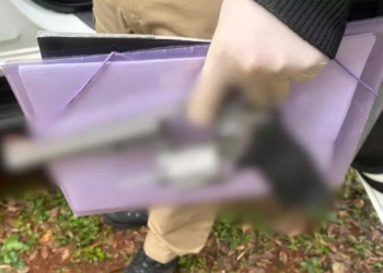 Adolescente de 13 anos mata avó e atira em avô após ser proibido de usar celular