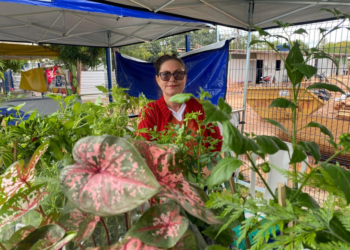 Produtora de Cuiabá supera câncer e transforma cultivo de plantas em negócio com apoio do Governo de MT