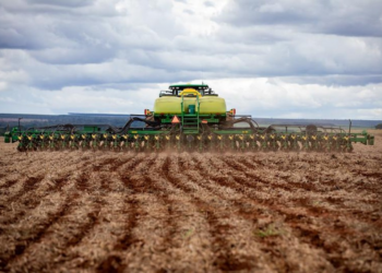 Mato Grosso deve liderar PIB dos estados brasileiros em 2025 e crescer quase o triplo da projeção nacional