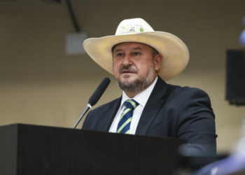 Cattani ataca lei em que é coautor