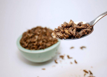 Quantos insetos você precisaria comer para substituir frango, porco ou carne bovina?