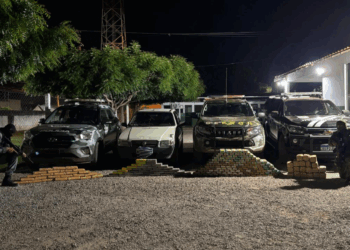 Forças de segurança apreendem 215 tabletes de entorpecentes e causam prejuízo de R$ 3,4 milhões às facções criminosas