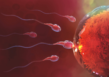 Infertilidade masculina: como o esperma produzido em laboratório pode transformar tratamento