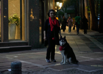 Irã amplia proibição de passeios com cães em público em várias cidades