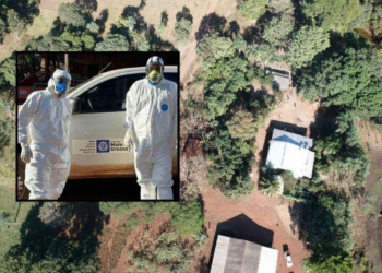 Veja imagens de propriedade onde foi identificado foco de gripe aviária em MT