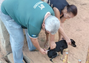 Município realiza vacinação de pets de porta em porta