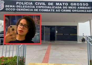 Mulher trans acusada adotar cães e gatos para matar é identificada