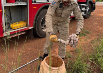 Corpo de Bombeiros resgata serpente que estava dentro de máquina de lavar roupa
