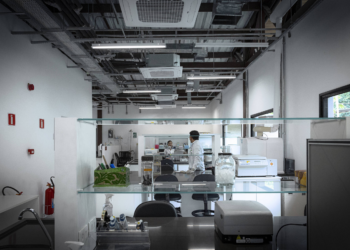 Gestão Tarcísio tenta mudar carreira de pesquisador, mas categoria protesta