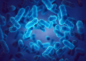 Cientistas correm para deter micróbios que poderiam ameaçar a vida na Terra