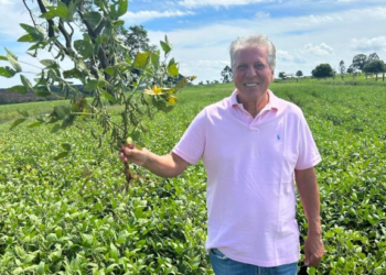 Verdana Agropecuária investirá R$ 20 milhões em sistema de Integração Lavoura x Pecuária (ILP)