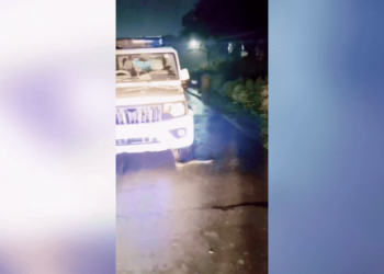 Cobra píton de quase 4 metros sai de dentro de carro da polícia; VÍDEO