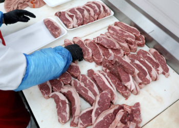 Americanos vão comer mais cachorros e gatos?