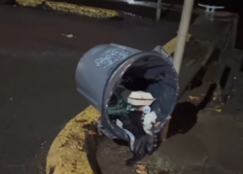 Carioca diz que alerta de tsunami foi o mais preocupante que já viveu no Havaí e, após alívio, compara a ressaca: 'No RJ, água invadiu mais'