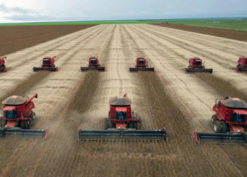Estado supera grandes potências mundiais na produção agrícola, diz USDA