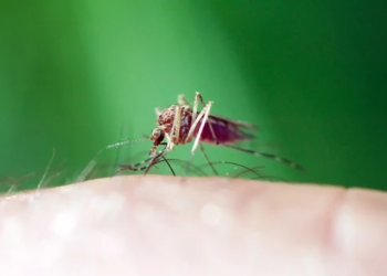Governo aposta em acordos em Saúde, Meio Ambiente e IA na cúpula do Brics; guerras ficam em segundo plano