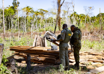 Sema deflagra 127 operações contra crimes ambientais e aplica R$ 1,3 bilhão em multas no primeiro semestre de 2025