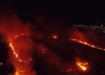 Incêndio de grandes proporções consome região de mata; vídeo