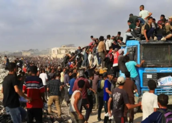 Mortos a tiros durante distruibuição de alimentos em Gaza chegam a 798, diz agência da ONU