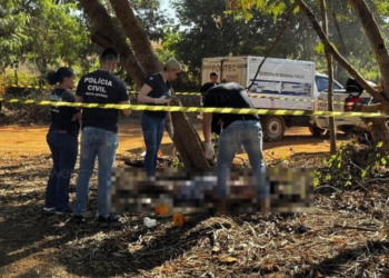 Corpo é encontrado com marcas de tiro na cabeça em região de mata