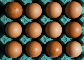 Gripe aviária cancela tradicional Festa do Ovo em Bastos, interior de SP