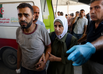 Ministério diz que 73 palestinos foram mortos a tiros enquanto esperavam ajuda humanitária em Gaza