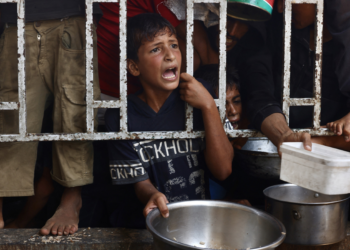 Mais de 100 ONGs denunciam 'fome em massa' em Gaza, e ONU fala em 'show de horrores'