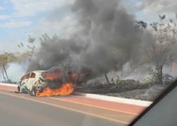 Carro pega fogo e chamas se alastram para mata; vídeo