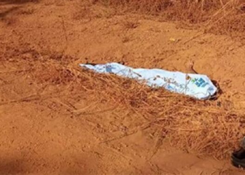 Homem cai da garupa de moto, morre e piloto abandona corpo