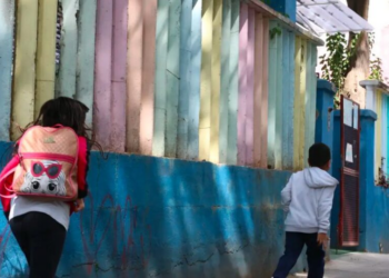 Bolsa-família incondicional não melhora a educação das crianças, revela estudo