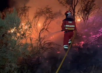 Incêndios na Espanha forçam a retirada de mais de mil pessoas
