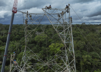 Waimiris atroaris se organizam para fiscalização de linha de transmissão