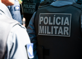 PM é acionada para capturar pitbull, animal ataca equipe e é morto a tiros