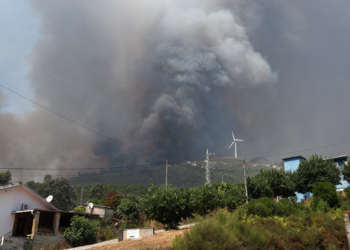 Portugal decreta alerta geral contra incêndios em meio à onda de calor extremo
