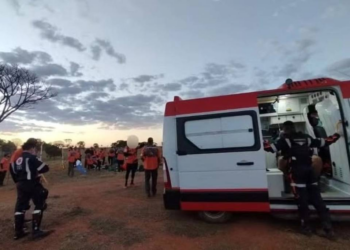 Grupo dos Legendários é atacado por abelhas em Caldas Novas (GO)
