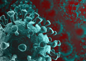 Vírus da Covid e da gripe podem “acordar” células cancerígenas