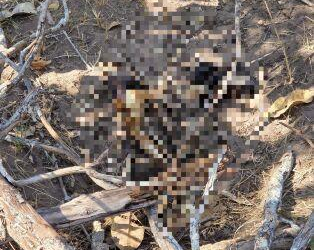 Polícia encontra ossada com cabeça a 10 metros do corpo