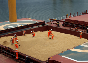 Brasil aumenta exportação de soja para China em 13,9% em julho, dizem asiáticos