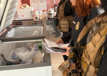 Bando é alvo de operação por venda ilegal de peixes