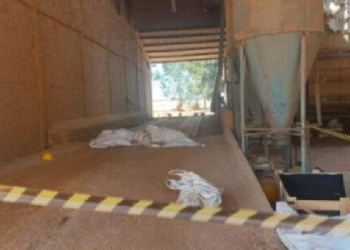 Homem de 29 anos cai de telhado de secador em fazenda e morre