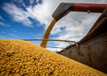 Justiça derruba suspensão da Moratória da Soja e Aprosoja reage: "Acordo impõe barreiras comerciais injustas"