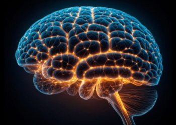 Remédio que faz “faxina no cérebro” pode ser aliado no tratamento contra Alzheimer