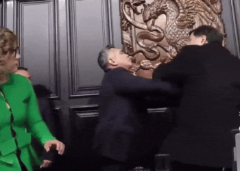 VÍDEO: Senadores trocam tapas e empurrões durante sessão no México