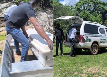 Homem se afoga e morre durante pescaria; corpo é encontrado pelo filho