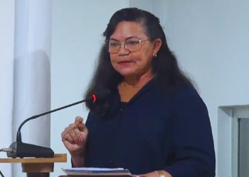 Vereadora diz ser "a favor da violência contra mulher"