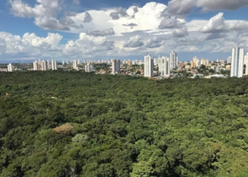 Mato Grosso é o 5º estado com mais moradores em ruas arborizadas, aponta IBGE