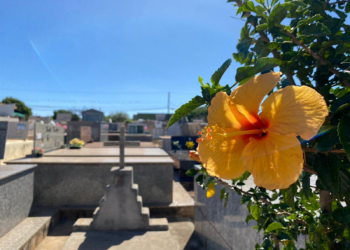 Confira os falecimentos deste domingo (7) em Apucarana e região