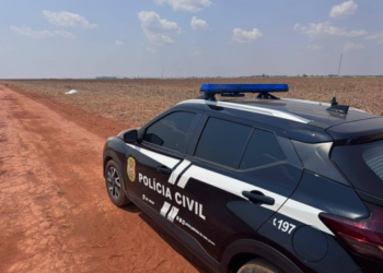 Trans encontrada em milharal pode ter sido morta por vingança, aponta investigação